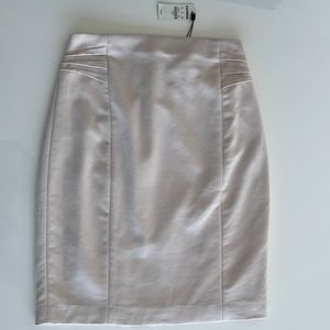 NWT Express Skirt